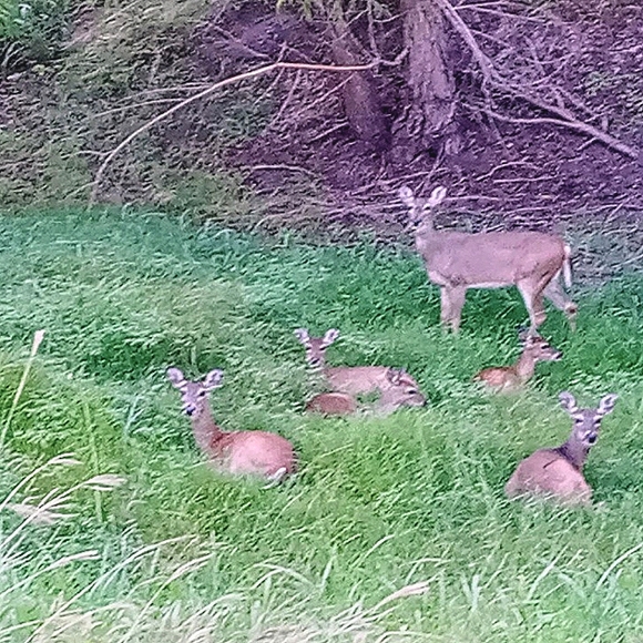 Meet your Posher, Craig - Picture 12 of 12